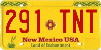 NM license plate 291TNT