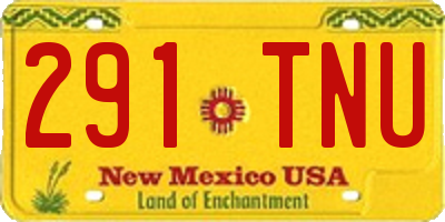 NM license plate 291TNU
