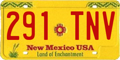 NM license plate 291TNV