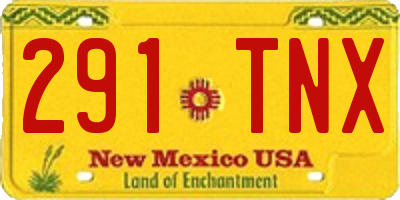 NM license plate 291TNX