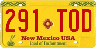 NM license plate 291TOD