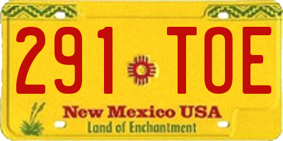 NM license plate 291TOE