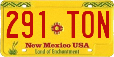NM license plate 291TON