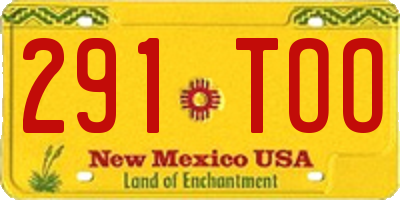 NM license plate 291TOO