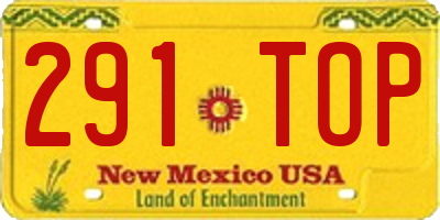 NM license plate 291TOP