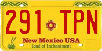 NM license plate 291TPN