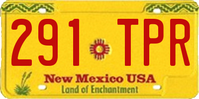 NM license plate 291TPR