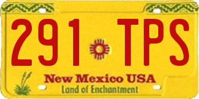 NM license plate 291TPS
