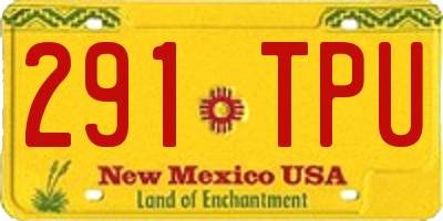 NM license plate 291TPU