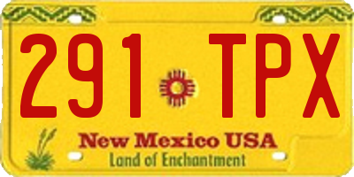 NM license plate 291TPX