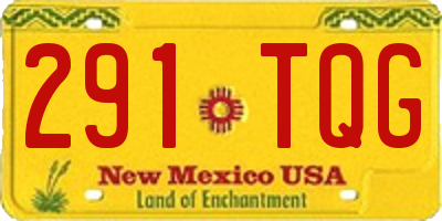 NM license plate 291TQG
