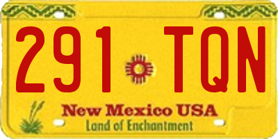 NM license plate 291TQN