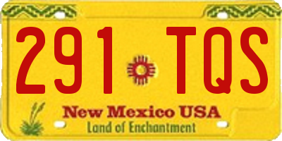 NM license plate 291TQS
