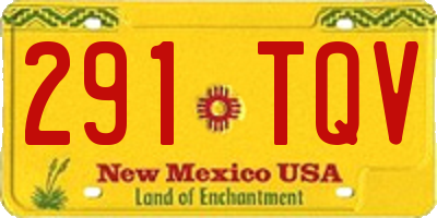 NM license plate 291TQV