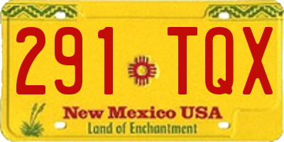 NM license plate 291TQX