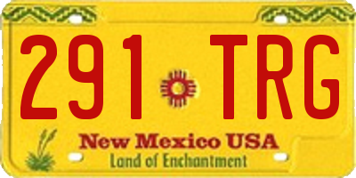 NM license plate 291TRG