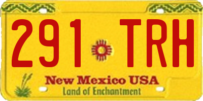 NM license plate 291TRH