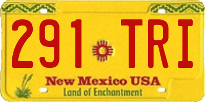 NM license plate 291TRI
