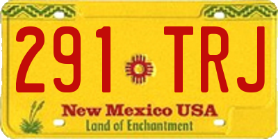 NM license plate 291TRJ