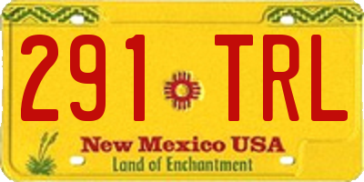 NM license plate 291TRL