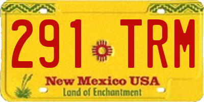 NM license plate 291TRM