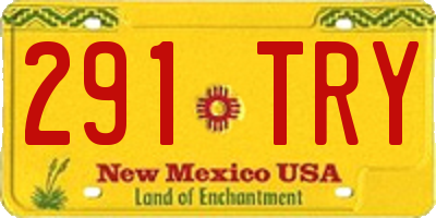 NM license plate 291TRY