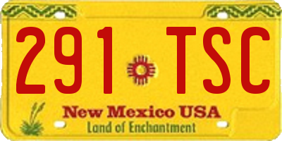 NM license plate 291TSC