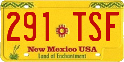 NM license plate 291TSF