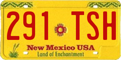 NM license plate 291TSH