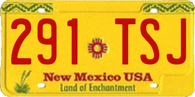 NM license plate 291TSJ