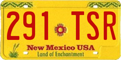 NM license plate 291TSR