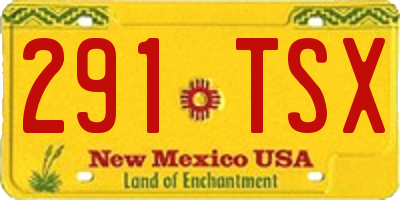 NM license plate 291TSX