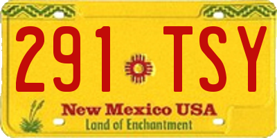 NM license plate 291TSY