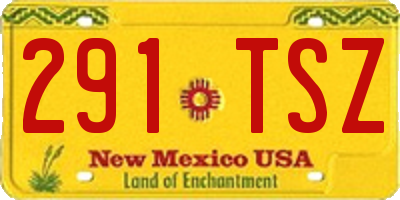 NM license plate 291TSZ