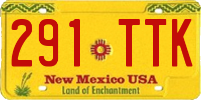 NM license plate 291TTK