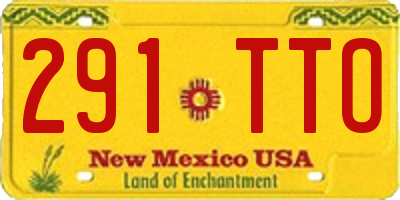 NM license plate 291TTO