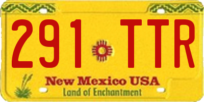 NM license plate 291TTR