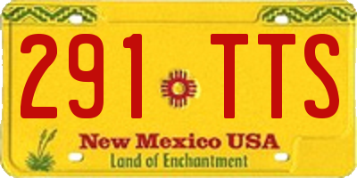 NM license plate 291TTS