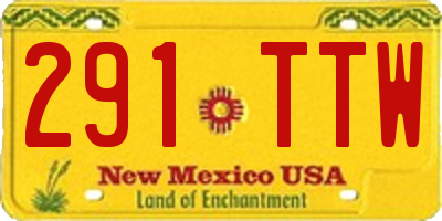 NM license plate 291TTW