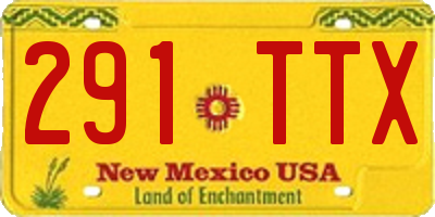 NM license plate 291TTX