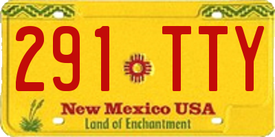 NM license plate 291TTY