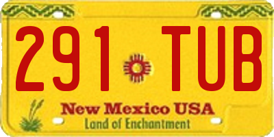 NM license plate 291TUB