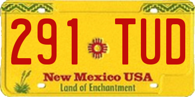 NM license plate 291TUD