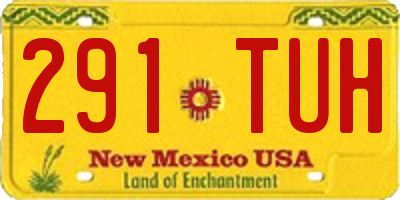 NM license plate 291TUH