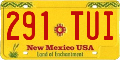 NM license plate 291TUI