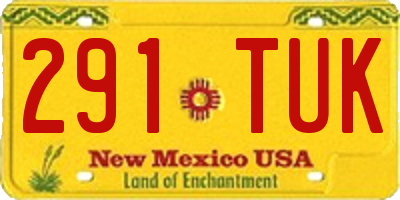 NM license plate 291TUK