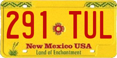 NM license plate 291TUL