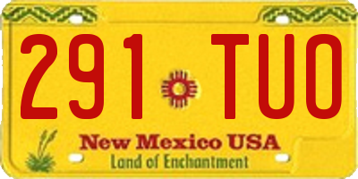 NM license plate 291TUO