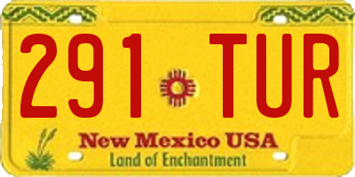 NM license plate 291TUR