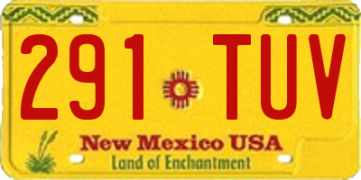 NM license plate 291TUV